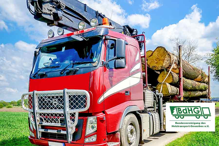 Das Holztransportgewerbe und die Besonderheiten bei der Unternehmensnachfolge.