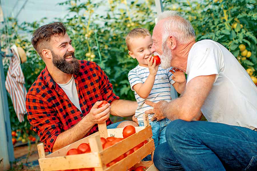 Die Familienstiftung dient als sicherer Hafen, um Ihre Pläne einzuleiten.